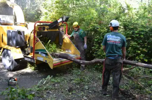 tree services Parksdale